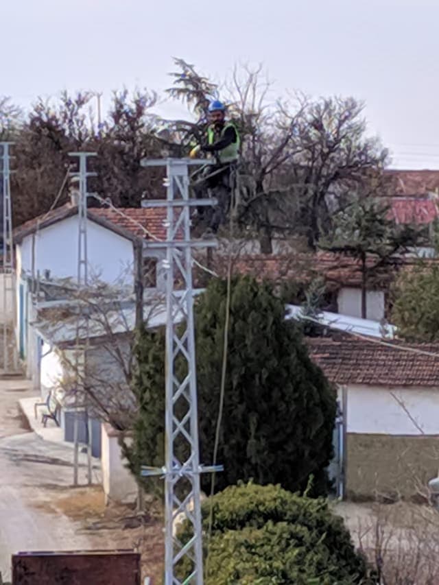 Yerleşim içinden geçen hattın direği; ağaçlar arasında travers montajı